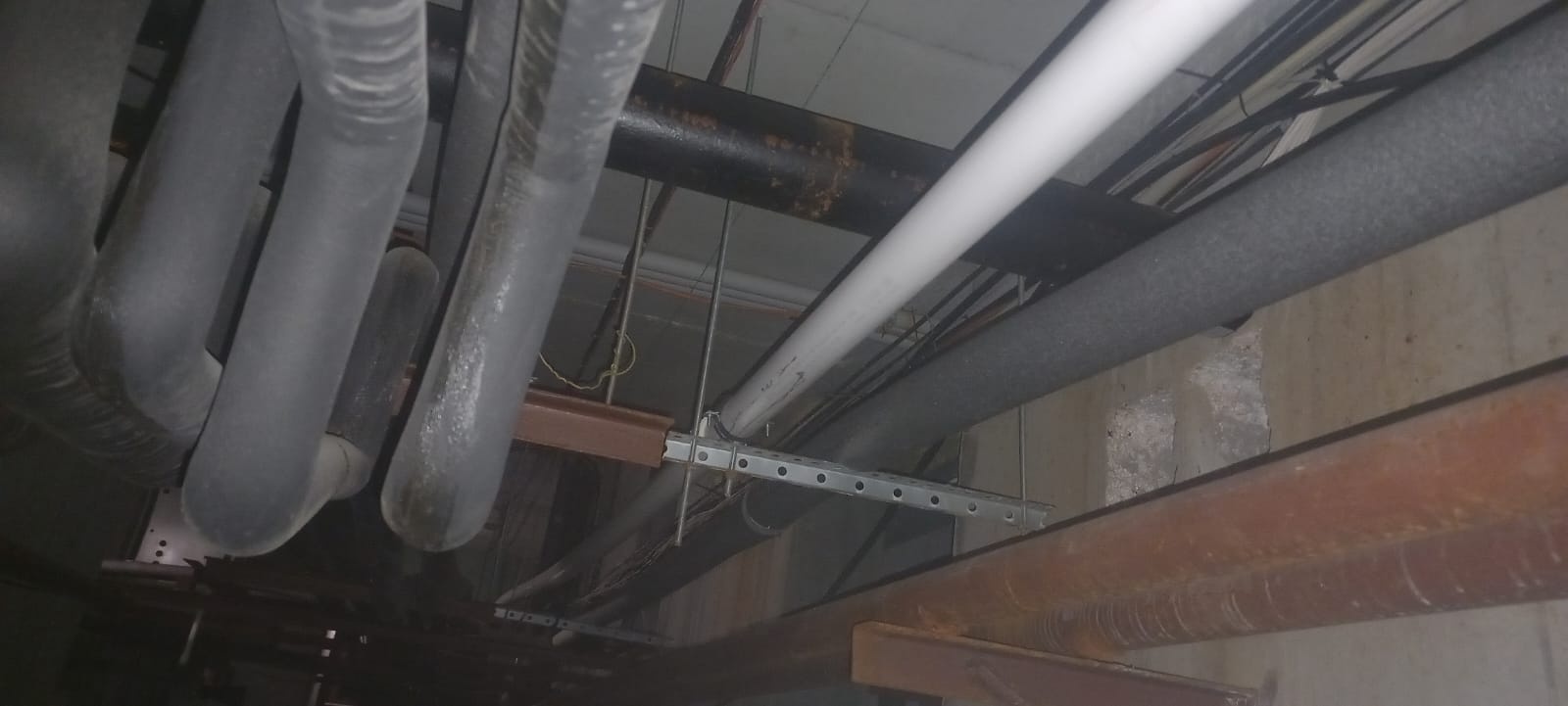 IMG-20250820-WA0040.jpg